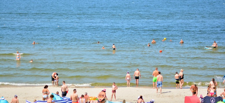 1200 zł do kolonii i 450 zł do półkolonii dla tej grupy dzieci. Jakie warunki trzeba spełnić? [FSUSR]