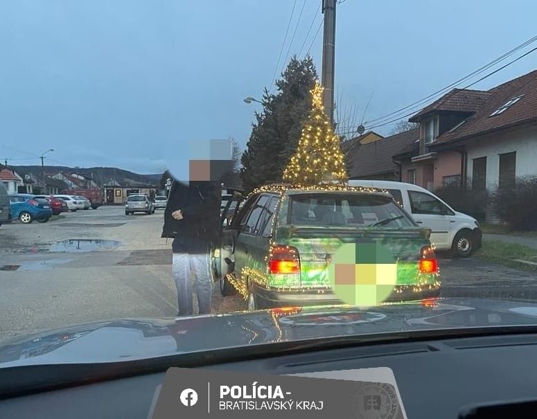 Vodiča stopla polícia.