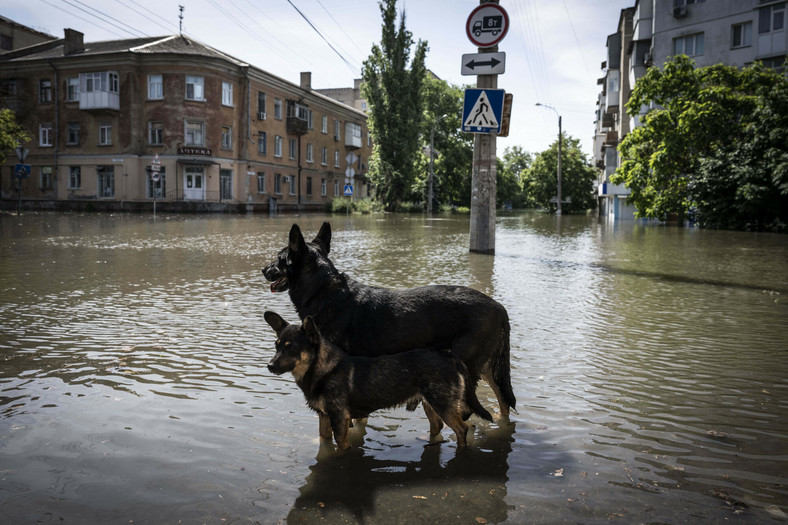 Ewakuacja zalanych rejonów Chersonia, 7 czerwca 2023 r.