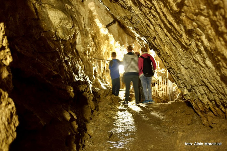 Jaskinia Mroźna, Tatry