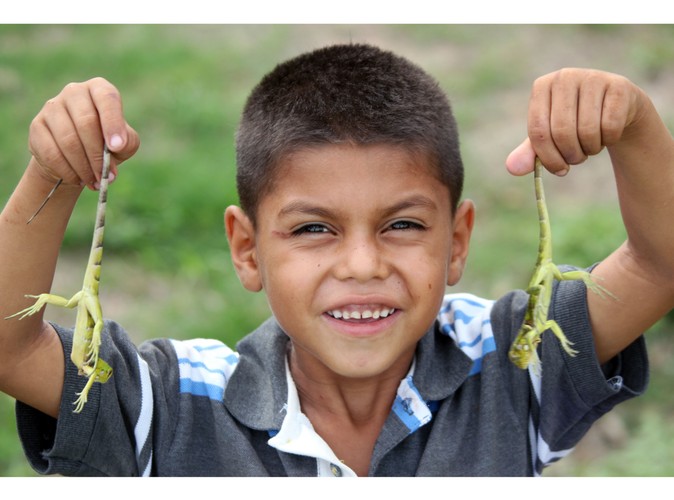 Wenezuela - Los Llanos