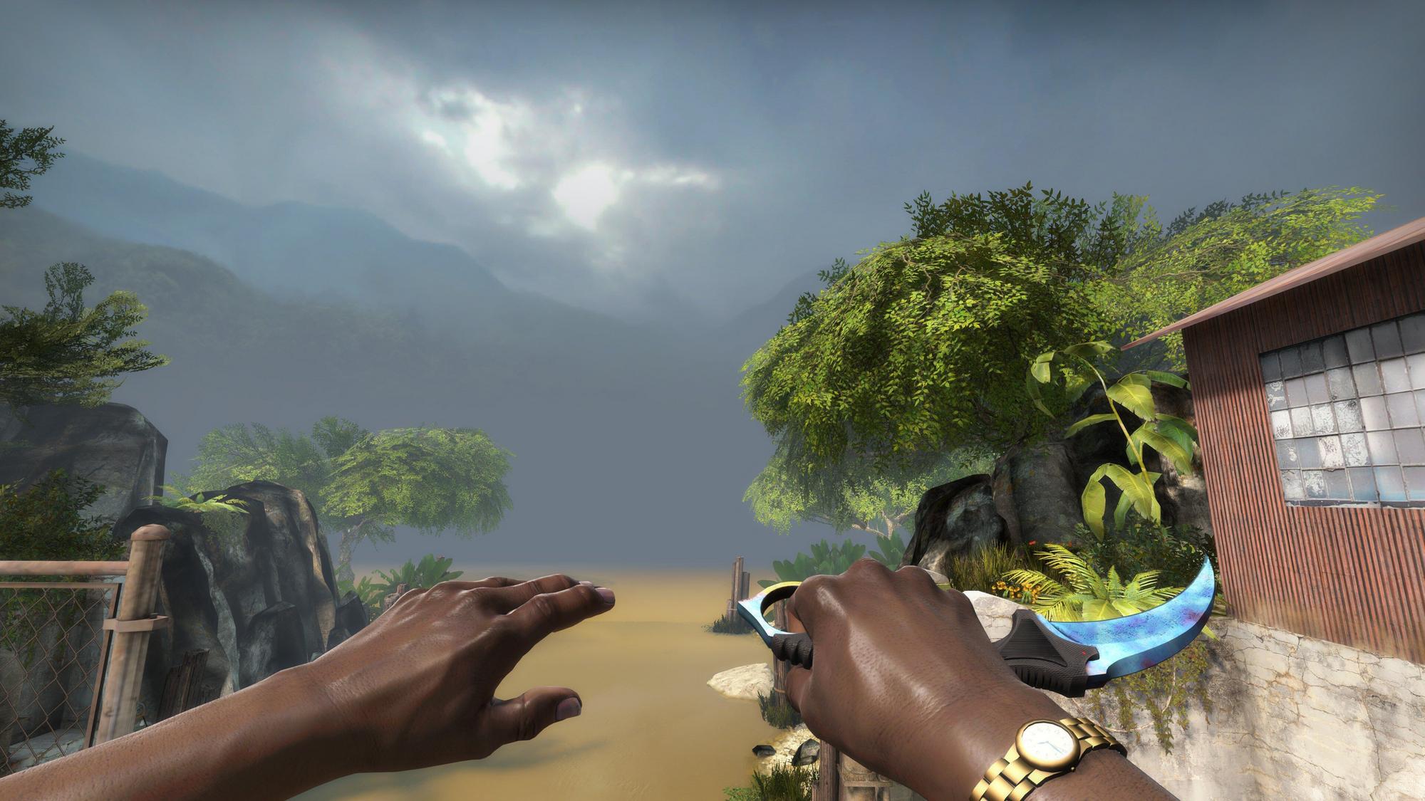 Skin Karambit Case Hardened Blue Gem.