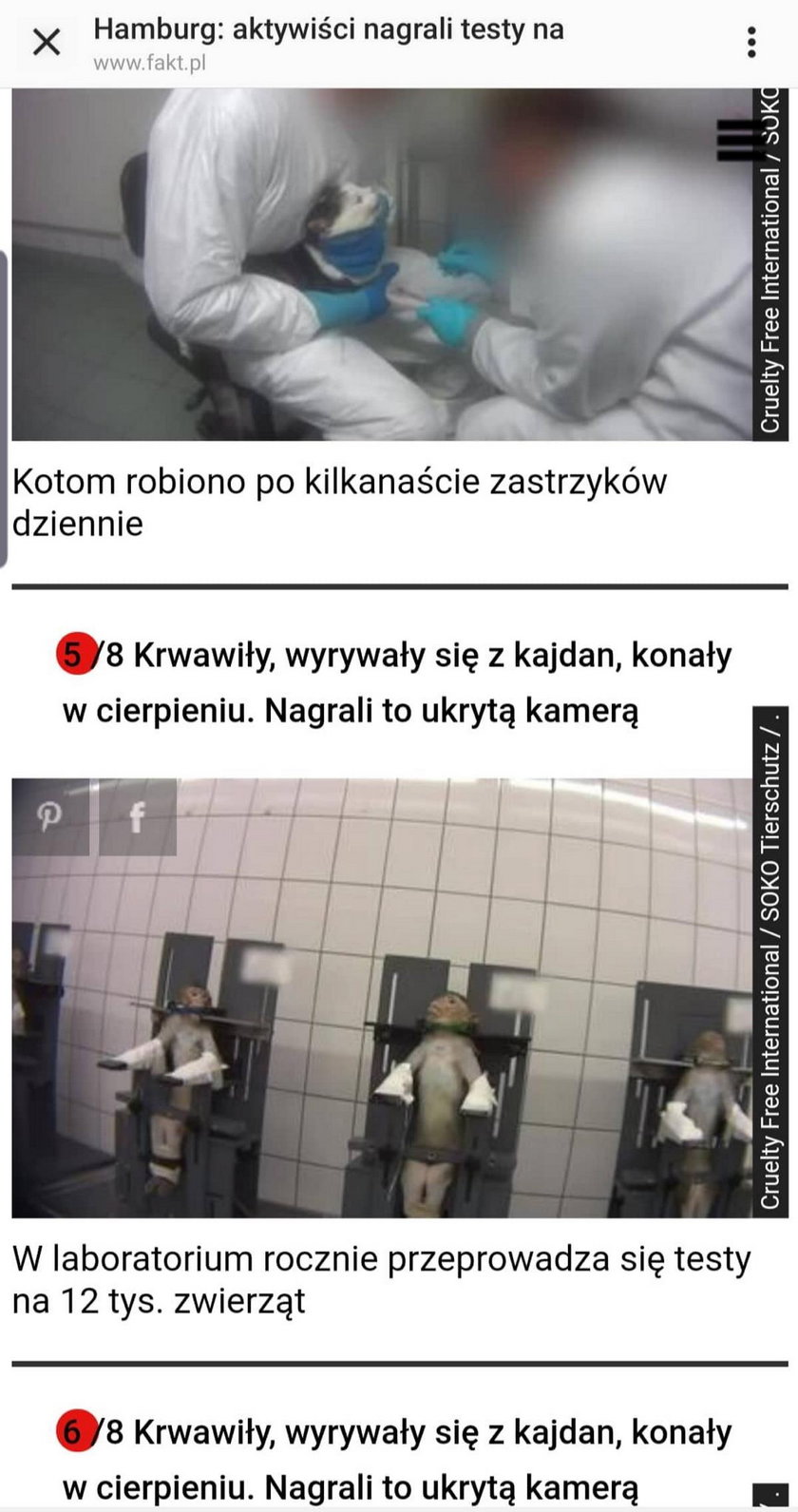 Screeny z artykułu Faktu