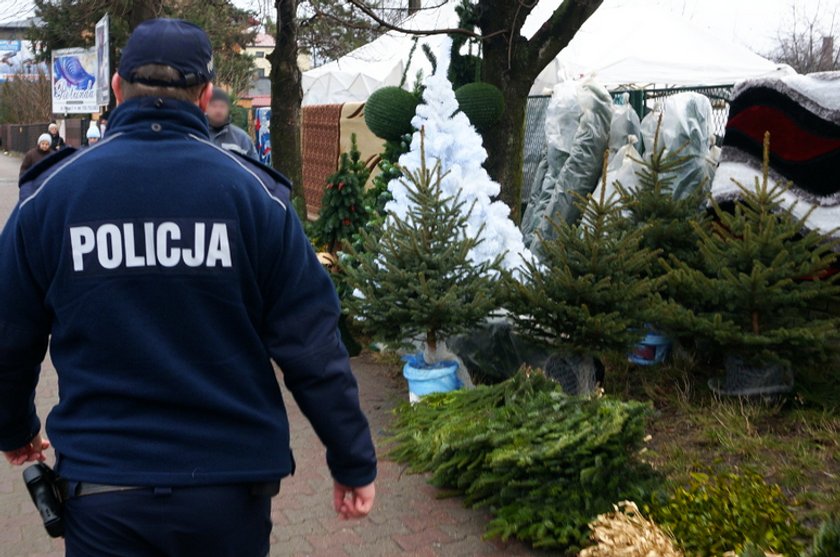 Policja i straż leśna pilnuje choinek