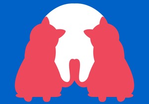 Da li na slici vidite psa ili dve mačke? Odgovor će otkriti šta vam je važno u emotitvoj vezi