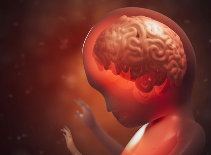 Egy fiatal nő, akinek születésekor az agya nagy része hiányzott, most töltötte be a 20-at című cikk nyitóképe