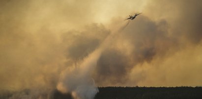 Płoną lasy wokół Czarnobyla. Co nam grozi?