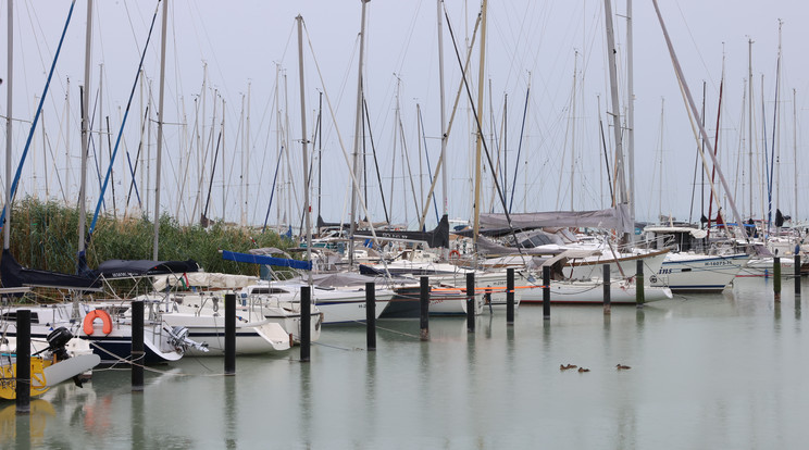 Rémisztő hír érkezett a Balatonról. Fotó: Ringier