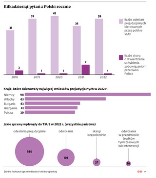 Kilkadziesiąt pytań z Polski rocznie