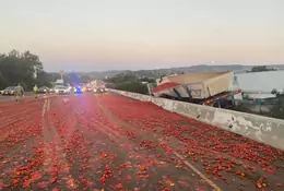 Pomidorowa autostrada. Tysiące pomidorów zablokowały drogę