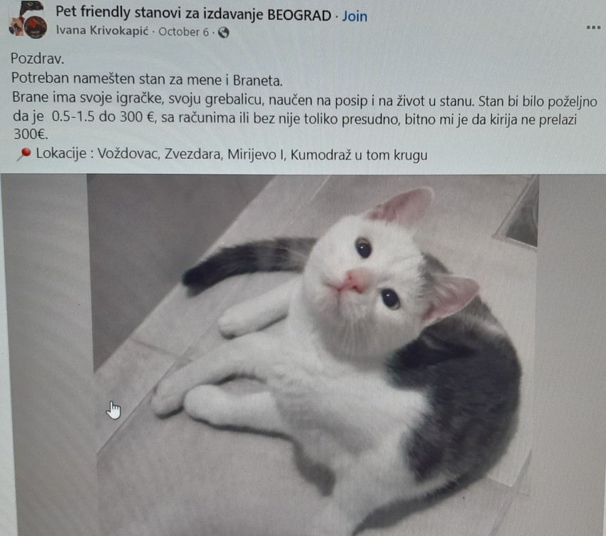 Ivanin oglas za traženja stana u Beogradu