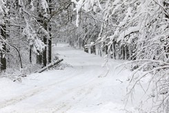 Mróz i śnieżyce w całej Polsce [PROGNOZA POGODY]