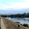 Sremska Mitrovica