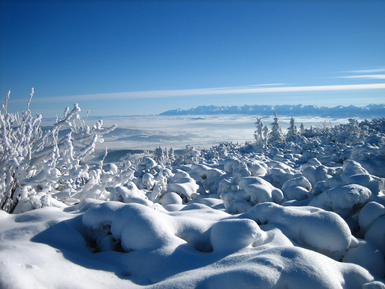 Tatry widziane z masywu Babiej Góry