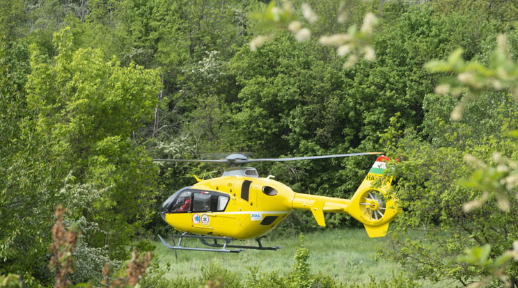 A mentőhelikopter az út mellett landolt, a személyzet megmentette a halottnak hitt embert /Fotó: MTI/Cseke Csilla