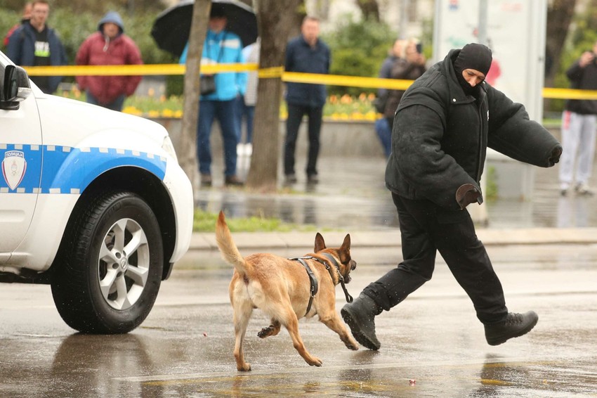 Pokazna vežba MUP RS