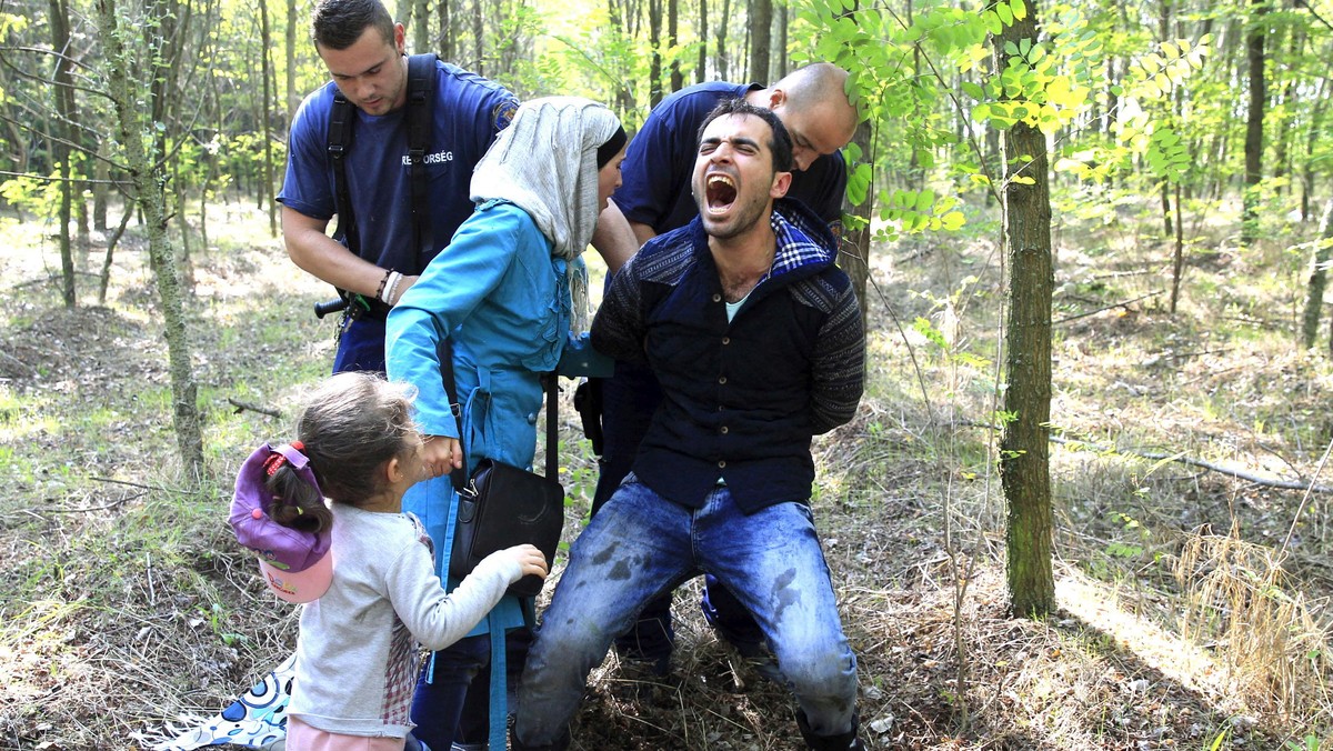 Hungarian policemen detain a Syrian migrant family after they entered Hungary at the border with Ser