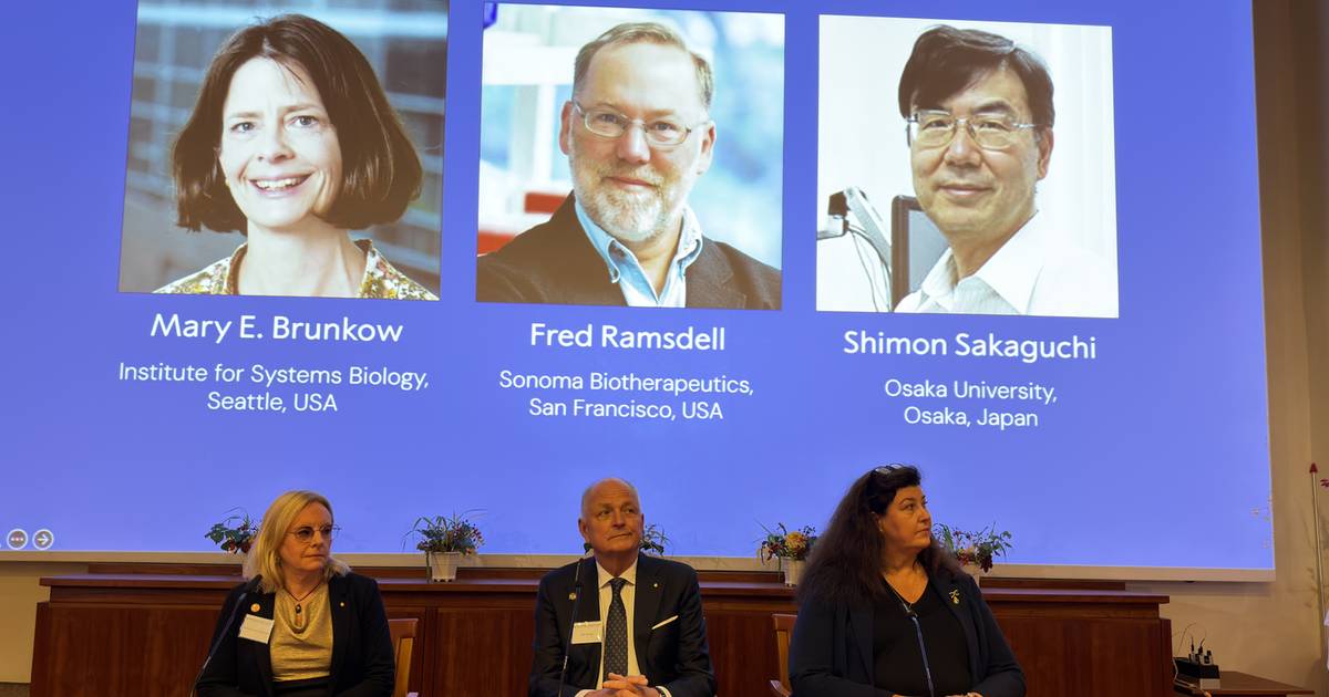 Medyczny Nobel przyznany. Okryto, co chroni układ odpornościowy