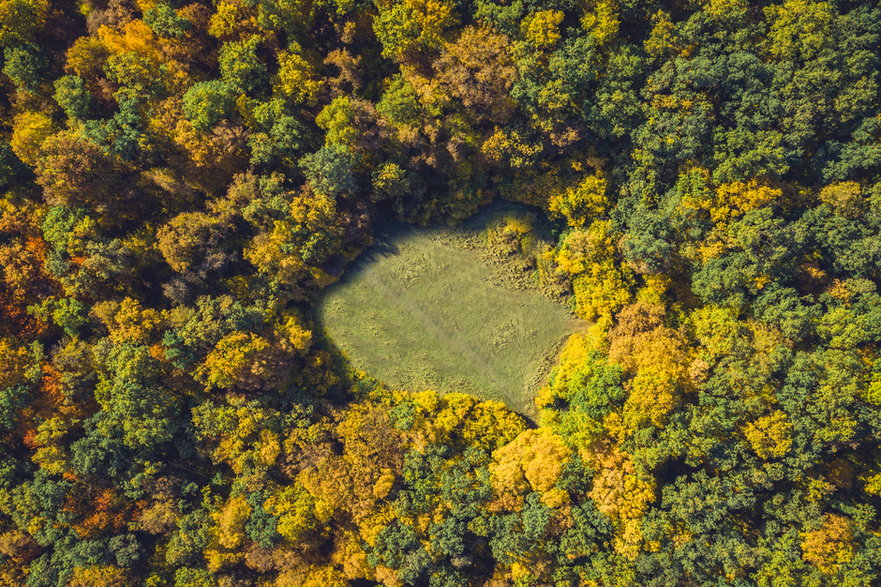 Tajemnicza polana w lesie Hoia Baciu, Rumunia