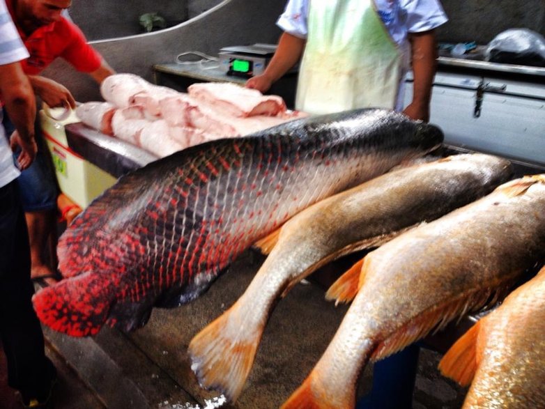 Bazar w Belem - Amazonia - Brazylia