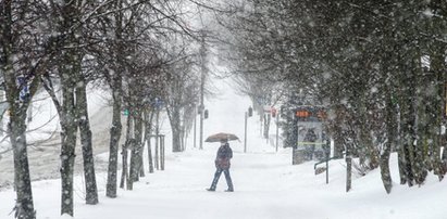 IMGW ostrzega przed atakiem zimy. Będzie nawet -10 st. C i 15 cm śniegu!