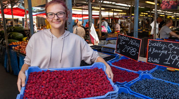 Nagy Lilla Bosnyák téri standján 3000 forint volt a magyar eper kilója a napokban. A termelők nekik még nem jelezték, hogy leállnának a termesztéssel, de már megjelent a konkurens lengyel málna a piacon / Fotó: Czerkl Gábor