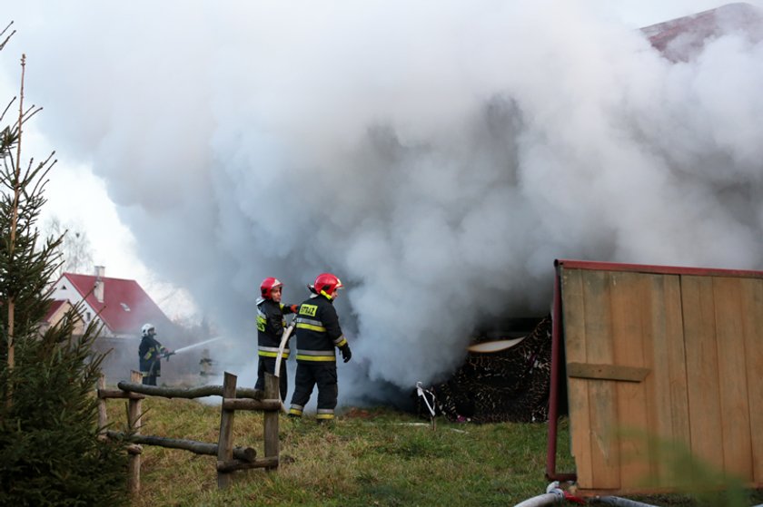 Pożar stadniny w Zielonej Górze