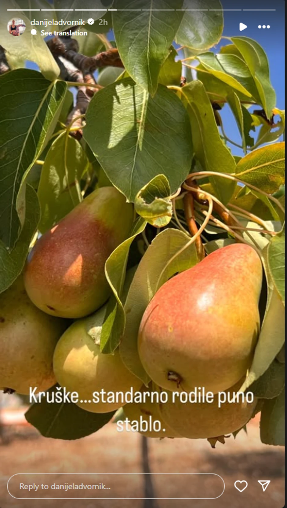Danijela Dvornik se pohvalila plodovima iz voćnjaka