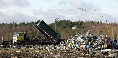 Makabra na wysypisku. Zwłoki dziecka na taśmie