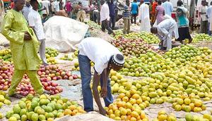 NGO proposes fruit waste to power homes, markets, urges government support [Punch Newspapers]
