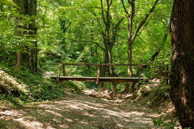 Sokobanja