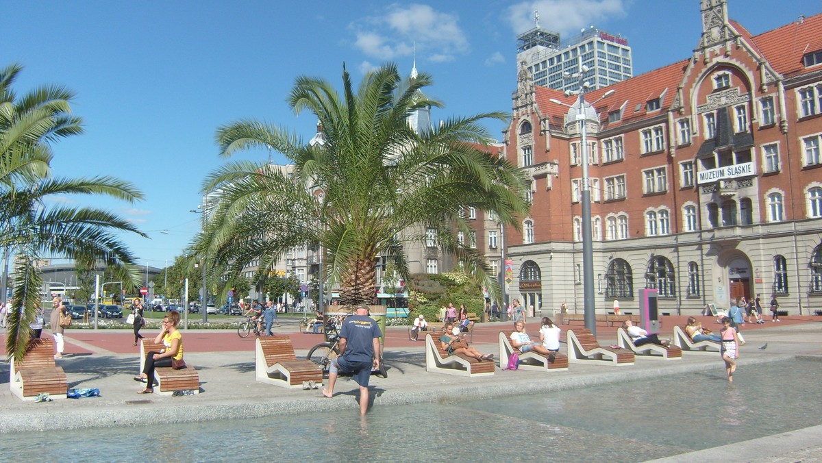 Na rynku w Katowicach ponownie staną ogromne palmy. Pięciometrowe feniksy kanaryjskie wrócą na rynek już w najbliższą niedzielę. Wyhodowane z nasion egzotycznych roślin sprowadzonych do Gliwic w 1924 roku i wypożyczone z tamtejszej Palmiarni, zimę spędziły pod dachem katowickiej hali Jantor i teraz wrócą do centrum miasta.