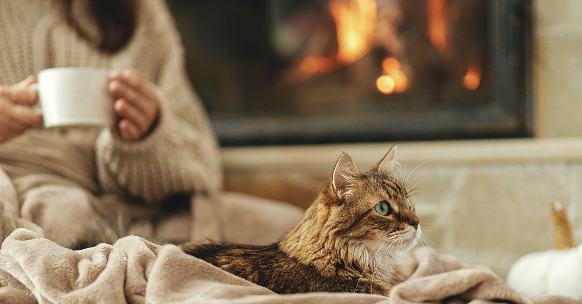 Zaplanujesz sobie długi urlop, a on przepadnie. Kiedy możemy stracić zaległy urlop wypoczynkowy?