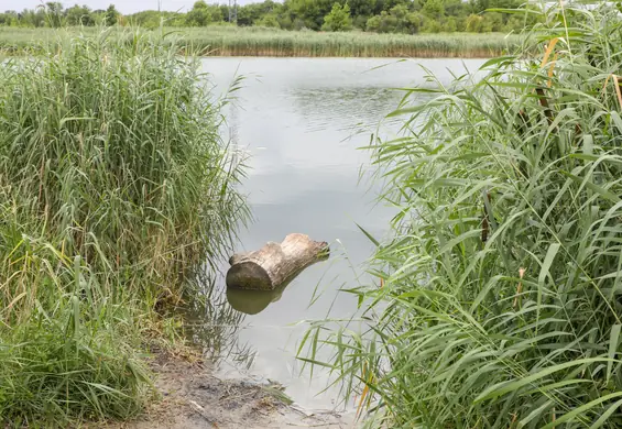 Zabiła matkę, bo "czuła się niekochana". Zbrodnię planowała trzy lata