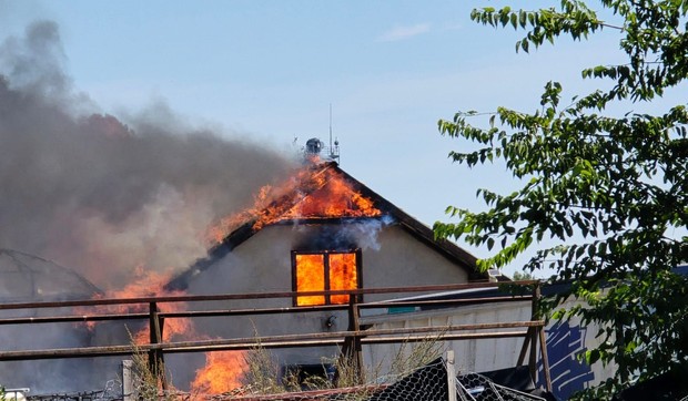 Požar kod Novog Sada