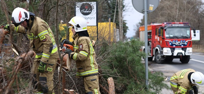 Orkan Eunice zbiera żniwo. Powalone drzewa, utrudnione lądowania samolotów. ZDJĘCIA