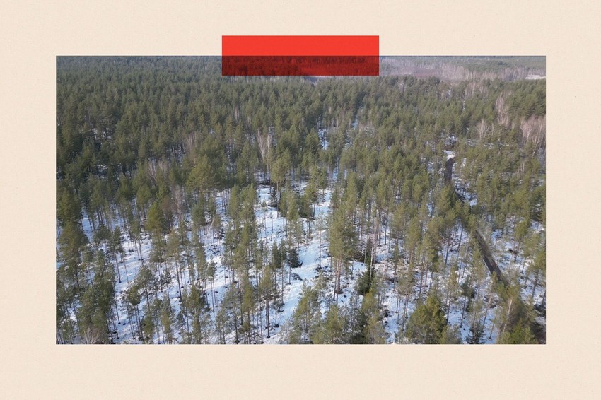 Mnoge vojske su prešle evropsku niziju | Foto: BBC