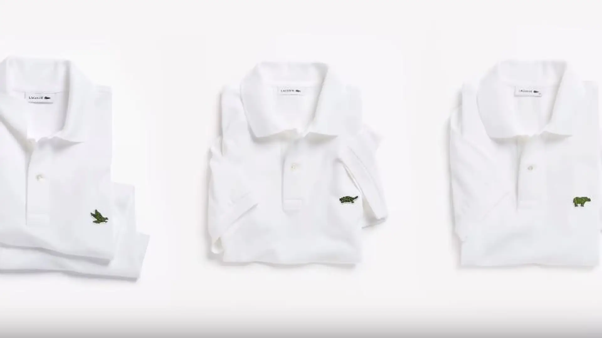 Lacoste w obronie zwierząt. Logo krokodyla zastąpi 10 gatunków zagrożonych wyginięciem