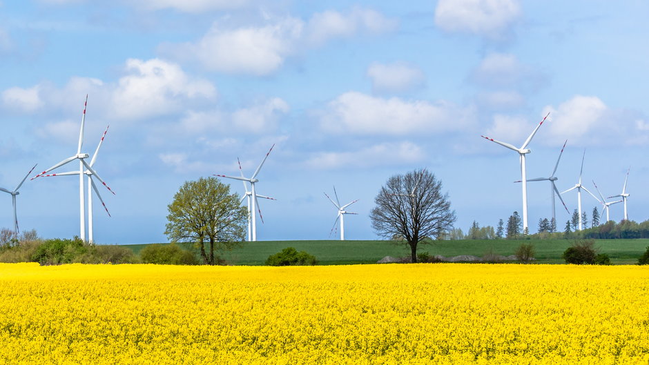 "Trzeba znieść ograniczenia lądowych farm wiatrowych" 