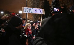 "Precz z Kaczorem", "Oddaj kota...". Manifestacja przed domem Jarosława Kaczyńskiego. ZDJĘCIA