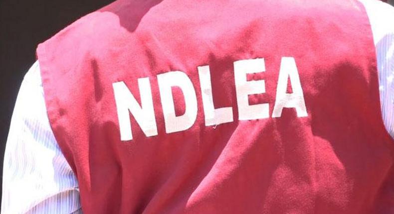 NDLEA arraigns man for peddling cocaine, molly, meth