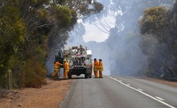 Lewica apeluje do premiera o wysłanie strażaków do Australii