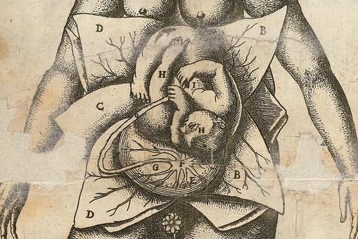 L0051871 Illustration of woman in utero