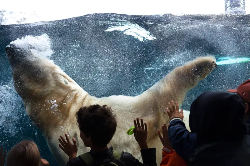 „Conservation status: Vulnerable”, fotografia z projektu Humanature, 2020 / Zdjęcie autorstwa Natalii Poniatowskiej. Publikacja dzięki uprzejmości autorki