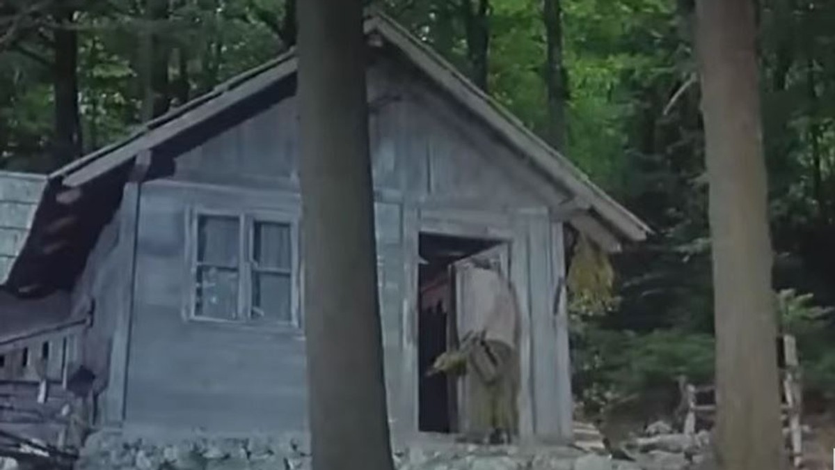 Ptice koje ne polete