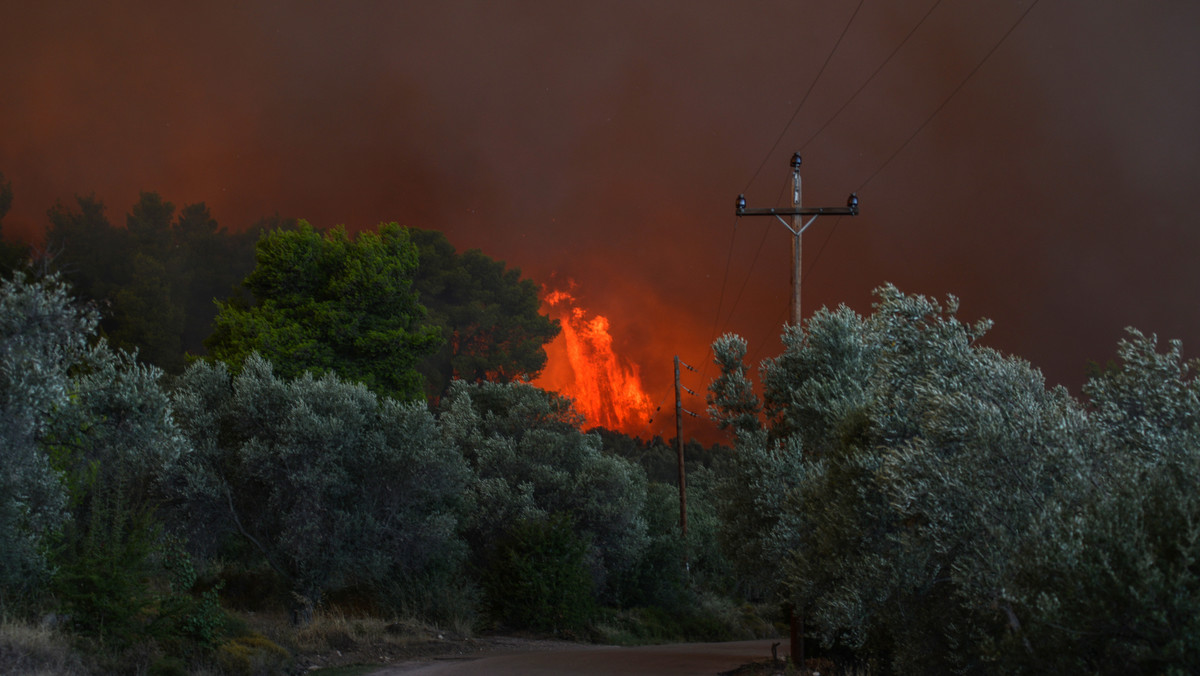 Grecja: Pożary na wyspie Eubea. Ewakuowano dwie miejscowości