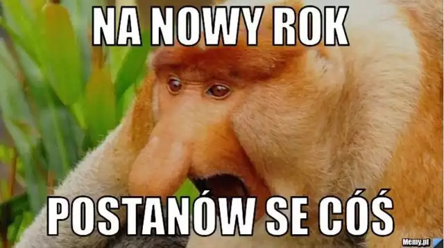 "Nowy rok, nowa ja". Zobacz najlepsze memy o postanowieniach