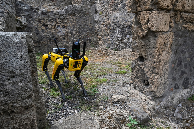 Pies-robot "Spot" będzie pilnował sławnego miasta Pompeje?