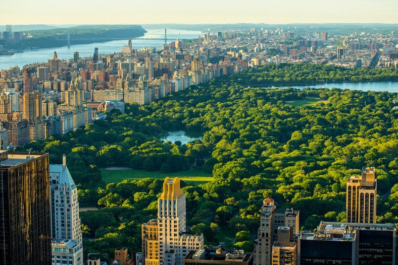 Central Park, Nowy Jork