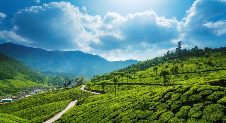 The scenery and relaxing atmosphere of Munnar made it a unique destination that belongs on any travel bucket list.Peter Zelei Images/Getty Images